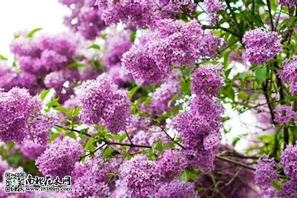 20131107141222_547