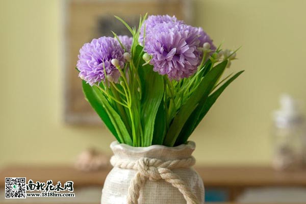 20140906165633_ZLuLG
