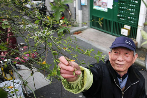 養(yǎng)花諺語