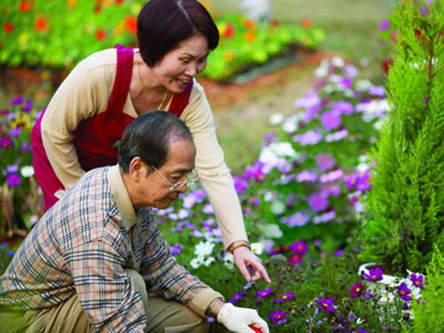 養(yǎng)花