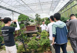 江蘇省廣播電視總臺(tái)走進(jìn)沭陽(yáng)國(guó)際花木城取景