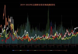 后疫情下巨變的花卉行情 | 2022全國花卉產(chǎn)銷形式分析會(huì)