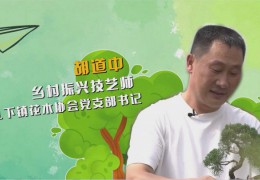 沭陽“新農人”胡道中：“矩陣直播”帶“飛”苗木產業(yè)