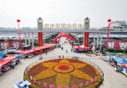 第十屆沭陽(yáng)花木節(jié)苗木盆景資材展銷會(huì)火熱開(kāi)啟！