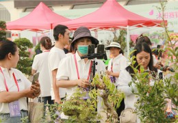 【圖集】第十屆沭陽(yáng)花木節(jié)主播掠影